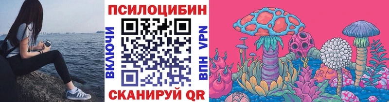купить цена Новый Уренгой KRAKEN как зайти Галлюциногенные грибы мицелий