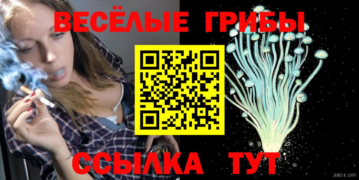 Галлюциногенные грибы Magic Shrooms  Вход с VPN  Новый Уренгой  купить  цена  Псилоцибиновые грибы мицелий 
